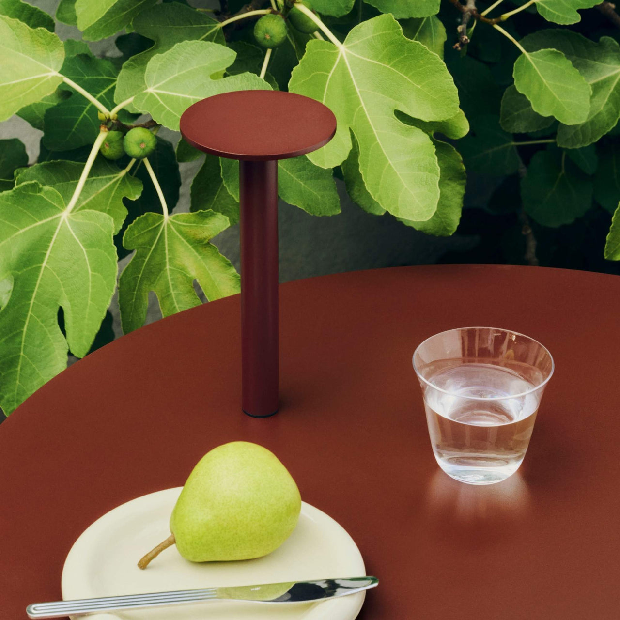 Host Portable Lamp, 220