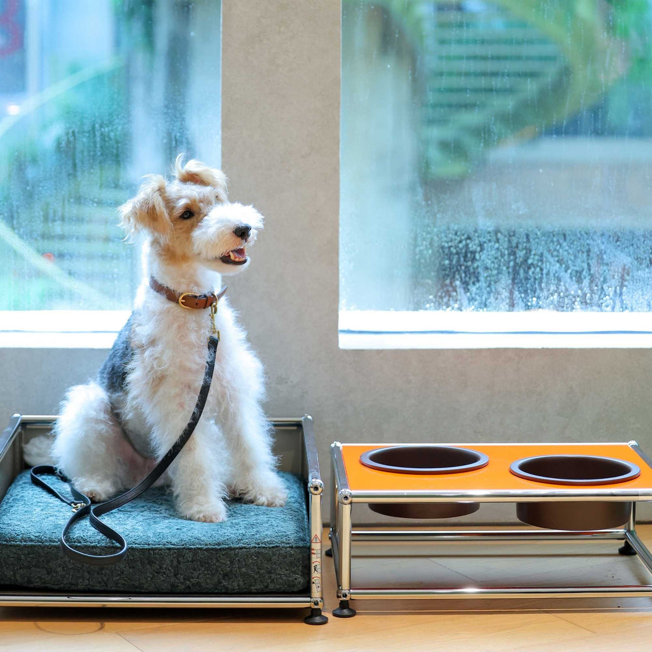 Dog Bed