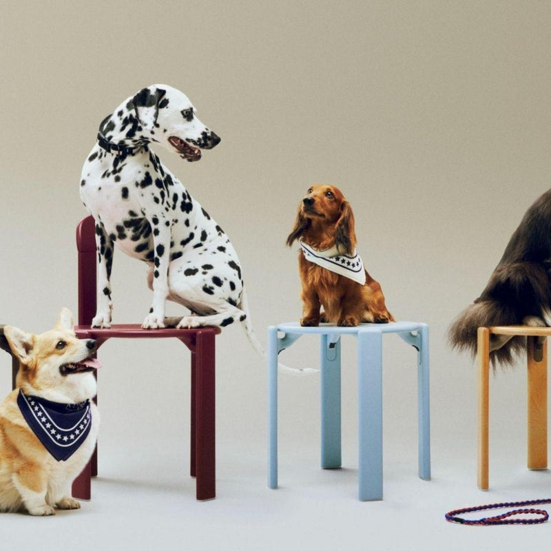 Brighten Your Home: A Splash of Colour with HAY Accessories
