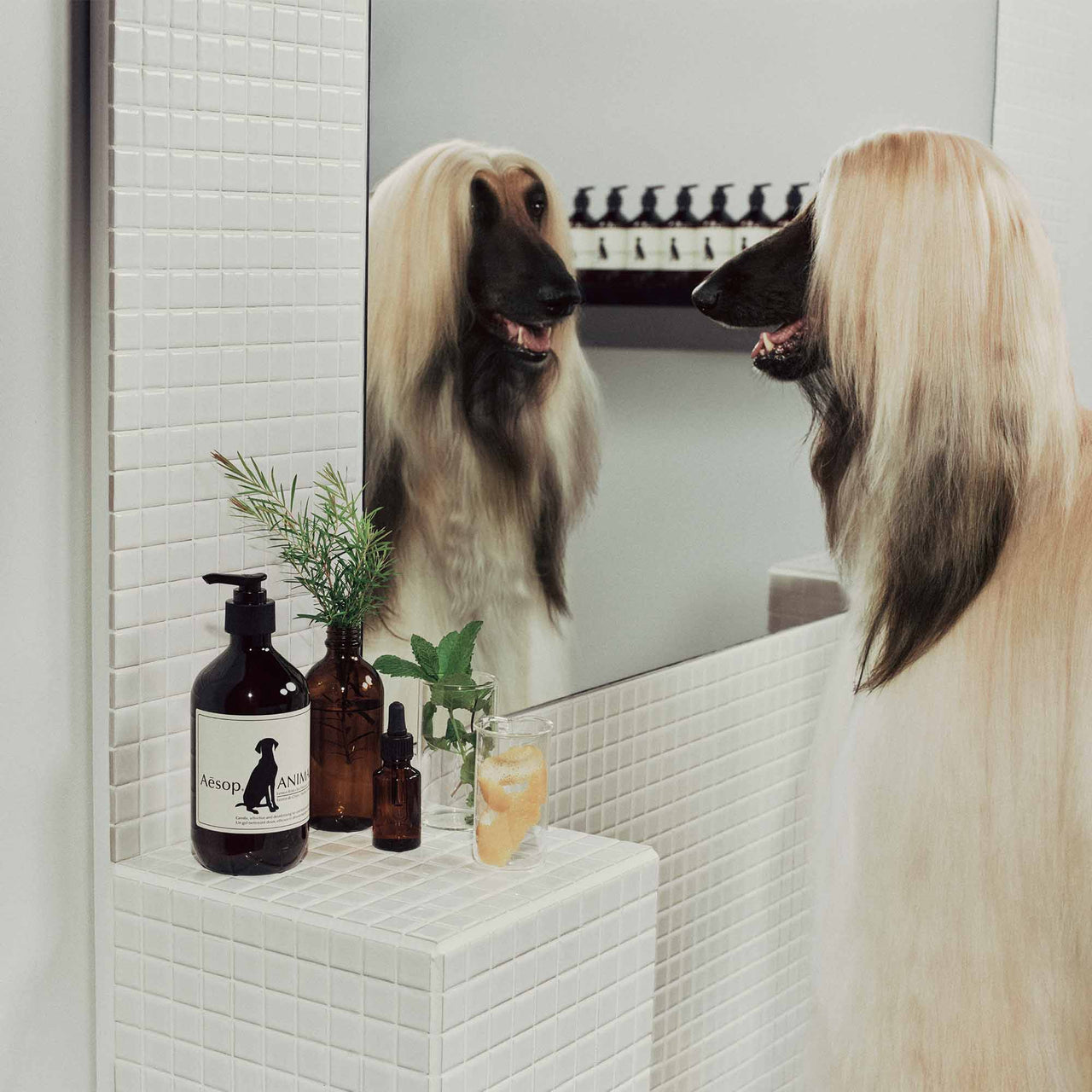 Aesop Animal Wash, 500ml