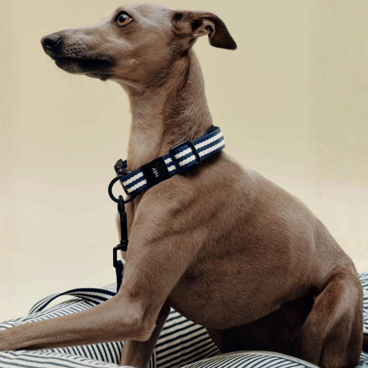 HAY Dogs Bed, Medium