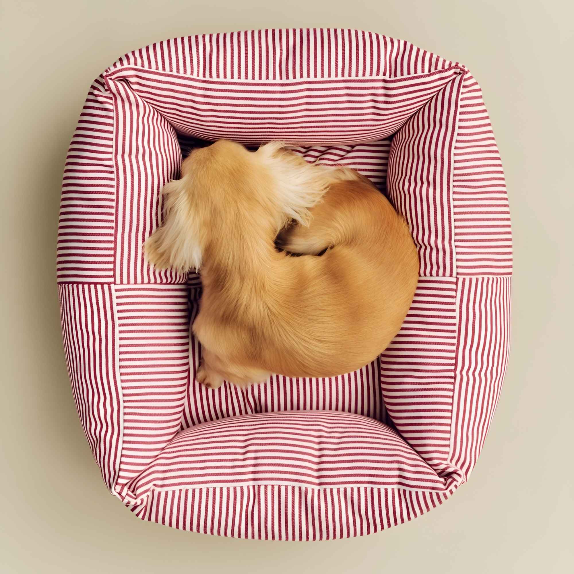 ベッド・マット・カバー HAY DOGS BY HOLLY GOLIGHTLY DOGS BED HAY