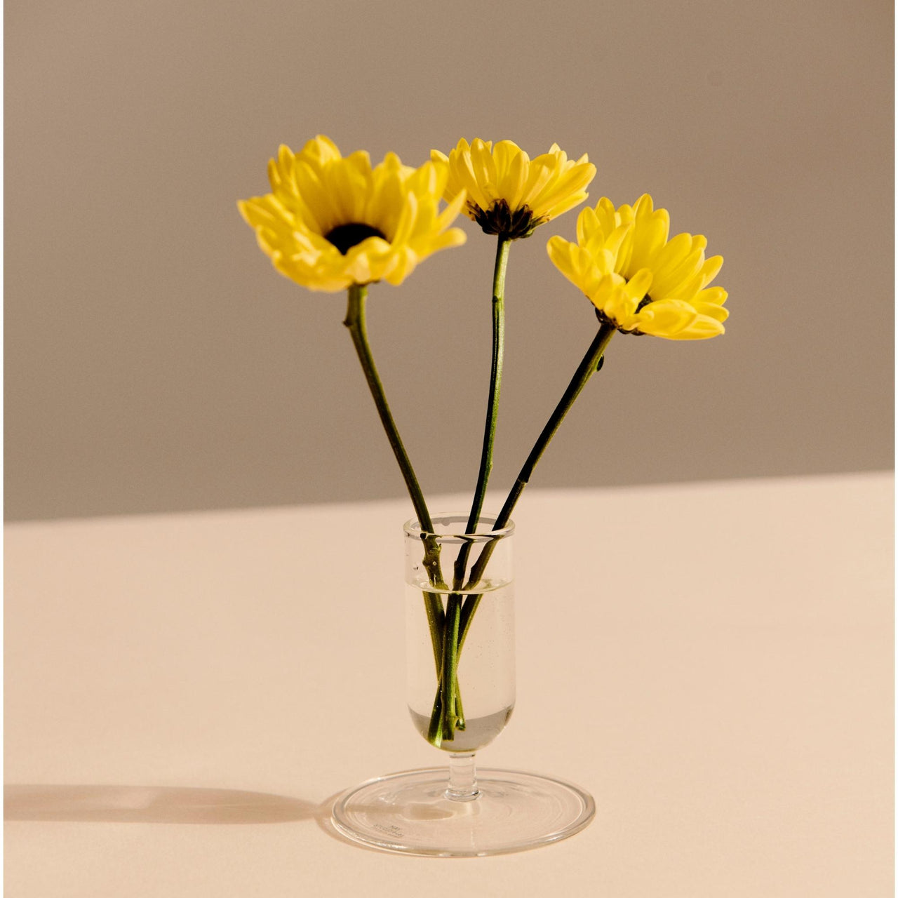 Tiny Vase